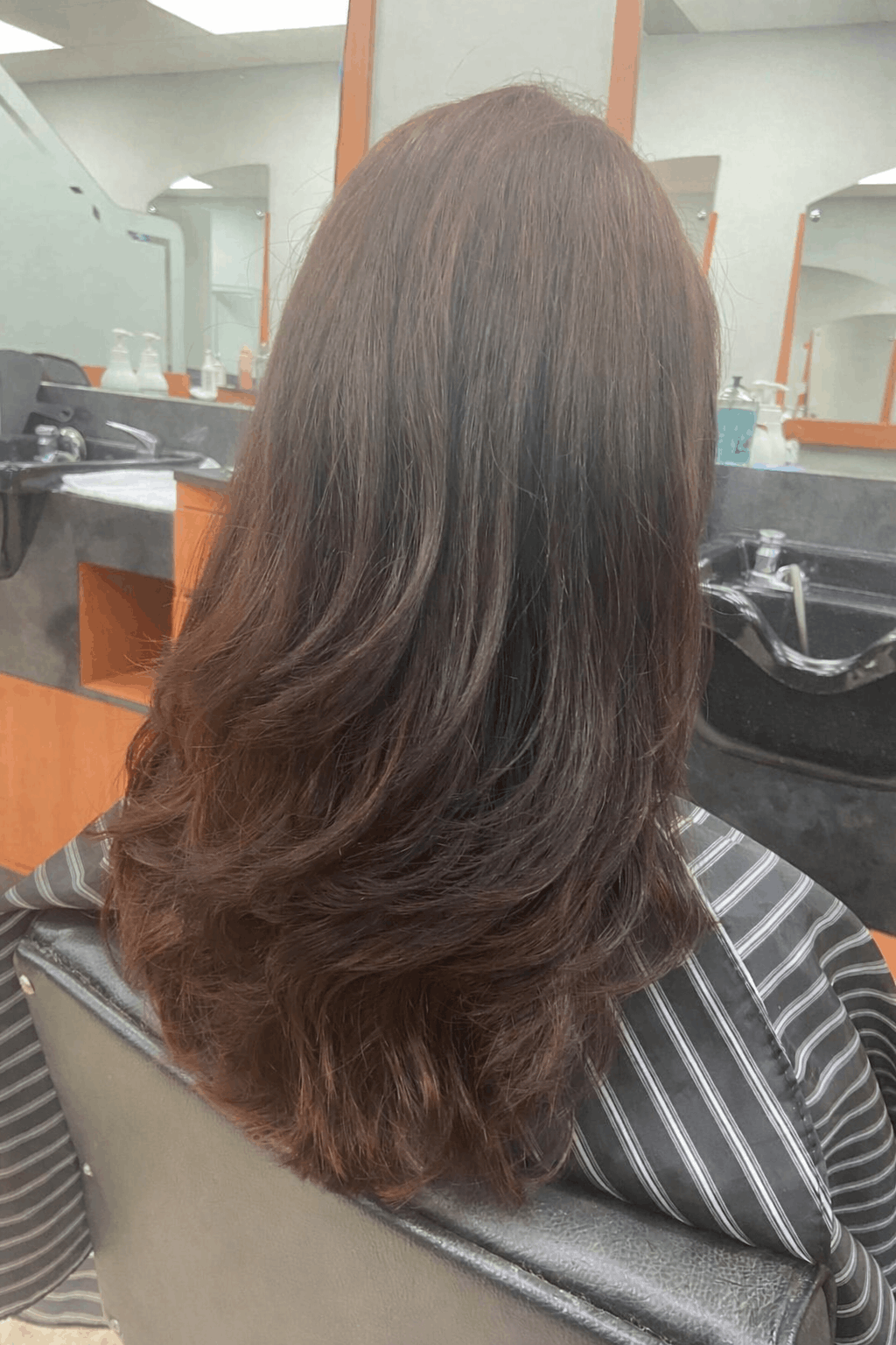 Hair Cut and Blow Dry